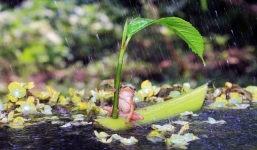 Những khoảnh khắc cực ấn tượng cho thấy vẻ đẹp huyền bí trong thế giới động vật