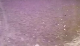 Sự thật kinh hoàng sau những bọt nước chuyển màu tím tuyệt đẹp