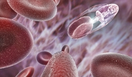 Nanorobot tự nhân bản có thể nuốt chửng Trái đất trong 52 giờ