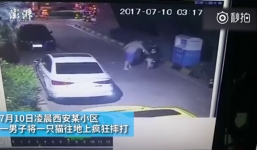 Nửa đêm mò đi bắt trộm mèo rồi quăng quật, hành hạ dã man