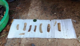 Phát hiện nhiều di vật tại vị trí nghi có mộ tập thể liệt sĩ ở Tân Sơn Nhất