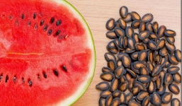 Bạn đã biết đến 11 công dụng thần kỳ từ hạt dưa hấu chưa?