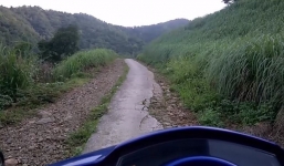 Bình Định: Hai cán bộ kiểm lâm tử nạn trên đường công tác