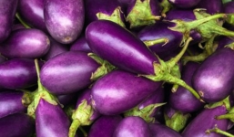 5 lưu ý khi ăn cà tím giúp bạn loại bỏ chất độc hại