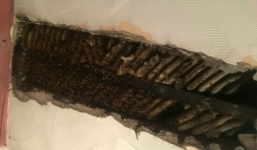 Dòng chất lỏng kì lạ chảy trên tường nhà, người phụ nữ sửng sốt nhận ra...