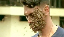 Kinh dị người đàn ông để 60.000 con ong bu kín mặt vẫn bình thản đọc sách