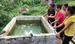 Tắm trong bể nước ăn, hai anh em chết đuối thương tâm