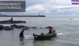 Ngư dân hoảng hốt khi bắt được cá đuối hơn một tấn