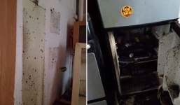 Người đàn ông vô tình nuôi hàng nghìn con gián trong căn hộ sang trọng