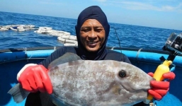 Vụ đổ 1 triệu m3 bùn xuống biển: Nguyên bí thư Bình Thuận gửi tâm thư cho Thủ  tướng