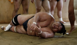 Vén màn cuộc sống của các đấu sĩ sumo tinh nhuệ tại Nhật Bản: Nạp 8.000 calo/ngày, phải thở bằng máy oxy khi ngủ