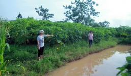 Hà Nội: Làm rõ nghi án bé 10 tuổi bị sát hại tử vong ở rãnh nước