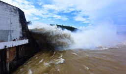 Thủy điện Hòa Bình xả lũ: Hàng trăm tấn cá lồng chết hàng loạt