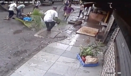 Tai nạn hy hữu: Đang đi bộ giữa đường, nữ MC bị cây cọ đề chết