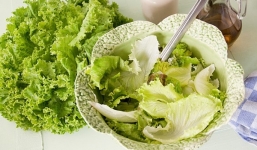 Những trường hợp nào tuyệt đối không nên ăn rau xà lách