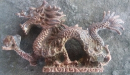 Thả lưới đánh cá, ngư dân vớt được 'rồng vàng' nặng nửa cân