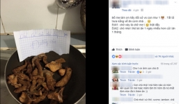 Vào bếp tìm cơm ăn, thấy dòng thư mẹ viết, cô gái trẻ đau lòng nhận ra mình không bằng một... con cún