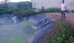 Trượt chân xuống hố biogas, bé gái 9 tuổi chết đuối thương tâm