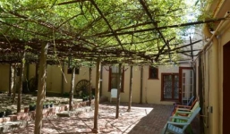 Cây hoa hồng lớn nhất thế giới, to như cây cổ thụ phủ kín gần 1000m2 đất