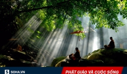 Đi lấy củi gặp nước lũ, sự ứng phó khôn ngoan của chú tiểu khiến ai cũng nên ngẫm lại mình