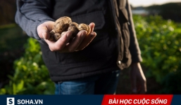 Bắt mang theo khoai tây, thầy giáo đã giúp học sinh nhận ra 1 điều có thể thay đổi cuộc đời