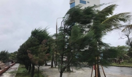 Bão số 4 làm tốc mái hàng chục ngôi nhà, gần 1.300 hộ dân phải sơ tán