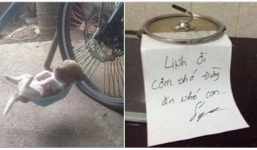 14 khoảnh khắc chỉ nhìn thôi cũng khiến cư dân mạng cười thích thú