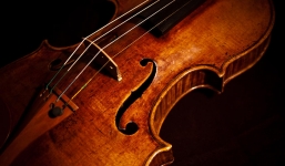 Đập phá bộ sưu tập violin gần triệu USD, người phụ nữ bị bắt giữ