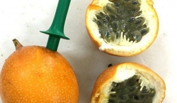 Sự thật về quả chanh leo 120 nghìn đồng có thể 'ngăn ngừa ung thư'