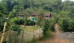 Sơn La: Mắc bệnh lạ, 13 người nói nhảm, nhảy múa, uống nước thay cơm