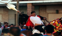 Chuyện lạ: Lễ hội cưỡi ngựa giật đứt cổ ngỗng ở Tây Ban Nha