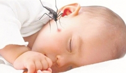 Bệnh nhi thứ 4 ở Sài Gòn tử vong vì sốt xuất huyết sau 1 tuần điều trị