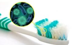 Kinh hoàng vi khuẩn 'bẩn' xuất hiện trong bàn chải đánh răng