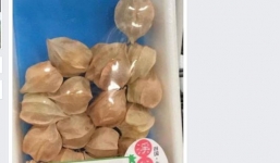 Loại quả này ở Việt Nam là quả dại, Nhật Bản bán 700.000 đồng/kg