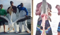 Nhóm thanh niên hành hạ động vật hoang dã rồi đăng lên khoe khiến dân mạng phẫn nộ