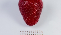 Những bức ảnh 'kinh điển' chứng tỏ độ 'rảnh rỗi' của bạn