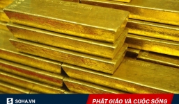 Thấy vàng nhưng nhất mực nói đó là rắn độc, chân tướng sự việc được sáng tỏ vào phút cuối!