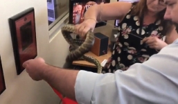 Choáng với màn tay không bắt trăn của 'thánh nữ văn phòng'