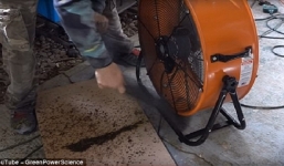 Giết 4000 con muỗi mỗi đêm bằng cách dùng chó làm mồi