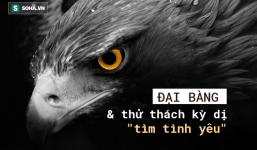 Chúa tể bầu trời: 8 khí chất ngược đời kỳ dị - chúng ta ai sánh kịp?