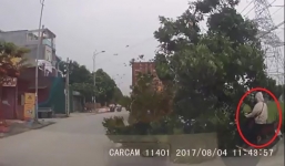 Container đâm đổ cây giữa đường, cô gái may mắn thoát chết