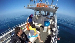 Video: Cá voi húc thuyền, du khách bị văng bất tỉnh