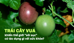 Trung Quốc, Ấn Độ coi là 'dược vương', ở Việt Nam chỉ là thứ quả bình dân!