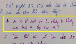 10 câu hỏi hóc búa thách thức trí thông minh của bạn