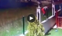 Bé trai bị đàn chó dữ tấn công khi trèo qua tường rào sang nhà hàng xóm