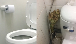 Công dụng không ngờ khi để bó sả trong nhà vệ sinh mà ít người biết