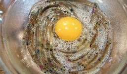 Món cá nhảy múa trong miệng của Nhật Bản thách thức độ can đảm