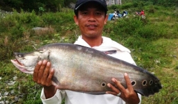 Câu được cá nàng hai nặng 7 kg trả 10 triệu không bán mang về nhậu chơi