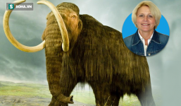 Trái Đất vào kỷ băng hà, loài người bị 'cú lừa đảo vĩ đại thế kỷ 21': Thực chất là gì?