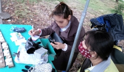 Nữ Bí thư phường ở Hà Nội điều hành đường dây đánh bạc hàng tỷ đồng